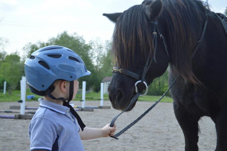 reittherapie-und-adhs-lyss