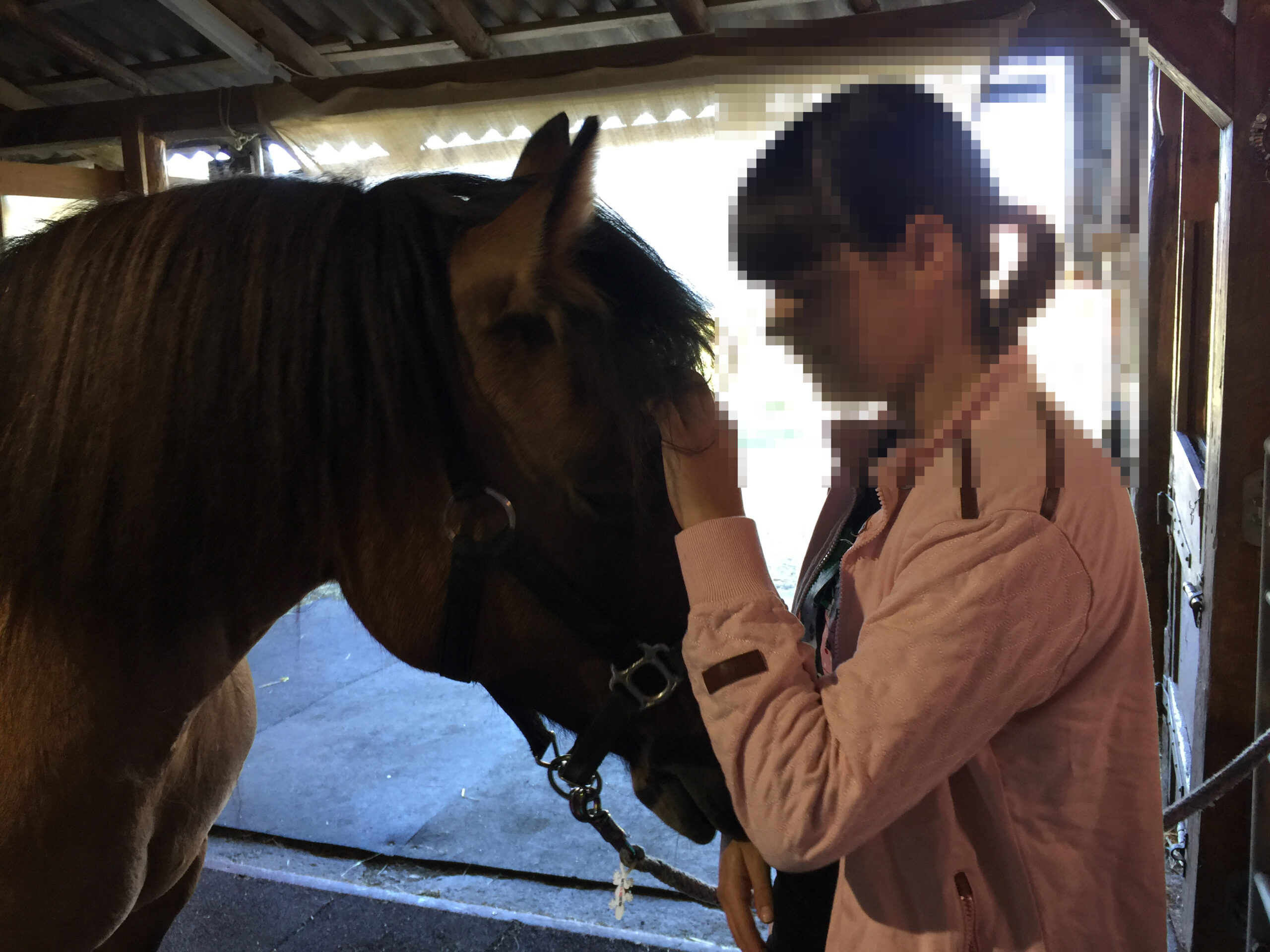 pferdegestützte-therapie-lyss