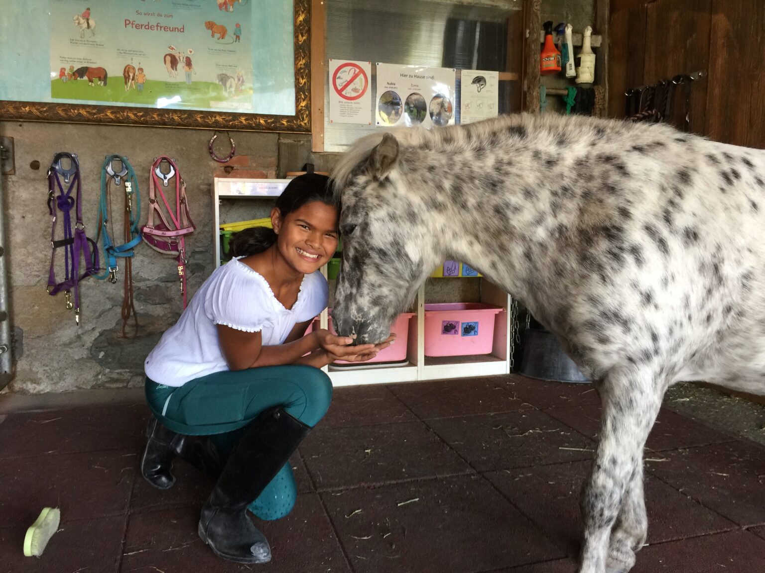 reitterapie-kinder-lyss